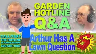 Arthur has Lawn Questions that need answering! | We've Got You Covered! | The Garden Hotline Q&A
