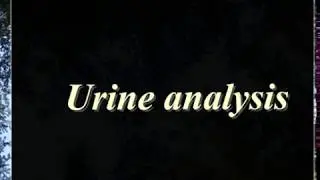 Urine Examination part 1