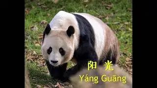 How to pronounce Yang Guang in Chinese?