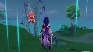 Genshin Dailies and Domain runs