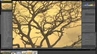 Creating Custom Presets For Lightroom with Seth Resnick