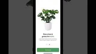Splash Screen - Onboarding - Log In - Sign Up - Forgot Password - Plant Shop | Flutter UI