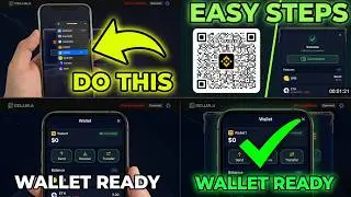 how to connect wallet in cellula game