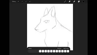 Animation wip