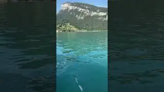 The wonderful Lake Thun! 🇨🇭🛳️