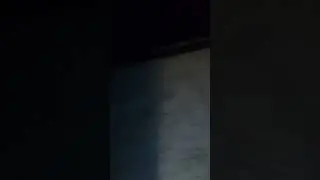 Evime zombi geldi yardım edinnnnnnnnnn ölücem galiba