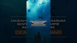Seaworld Абу Даби ОКЕАНАРИУМ С САМЫМ БОЛЬШИМ В МИРЕ АКВАРИУМОМ😱 | ОАЭ