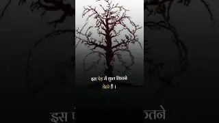Guess how many faces in this tree #guess #trending #explore #viral #shorts #motivation #education