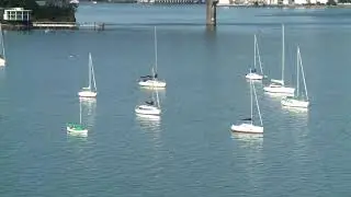 The Auckland Harbour Bridge  New Zealand