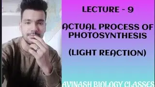 INTRODUCTION TO LIGHT AND DARK REACTIONS OF PHOTOSYNTHESIS