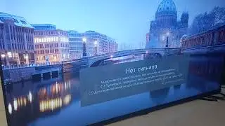 Телевизор против папрыгунчика.