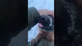 Зарядка. Часть 3
