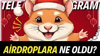TELEGRAM AİRDROP BOT LARI NE OLDU? (Hamster Kombat Airdrop Sosovalue Presale Crypto Copy Trade)