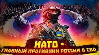 Россия воюет на Украине с блоком НАТО