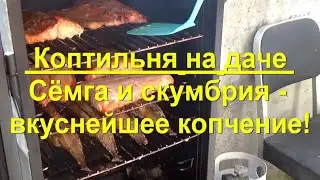 76. КОПТИЛЬНЯ на даче. РЫБА - вкуснейшее копчение скумбрии и сёмги.