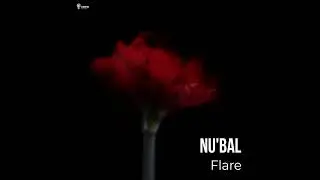 Nu'bal - Flare