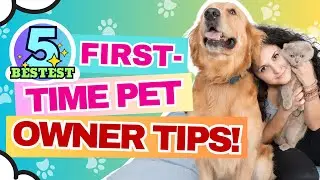 Top 5 Tips for First Time Pet Owners