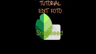 TUTORIAL EDIT FOTO SNAPSEED DI ANDROID LENGKAP 2020