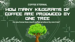 🟩🛵 How Many Kilograms Of Coffee Are Produced By One Tree! ♻🌌