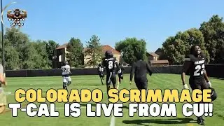Live: T-Cal Reacts Live To Colorado Football Scrimmage!
