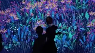 Interactive Wall Projection