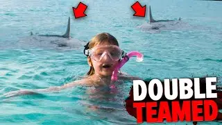 These 3 People Get RIPPED APART By 2 Deadly Predators at The Same Time!