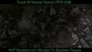 SkyrimSE | TNT ENB + NAT | Stunning Natural Visuals? | Modded for Realism