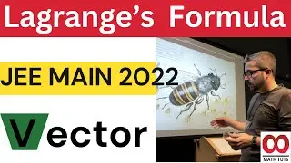 Mastering Lagrange's Identity and Vector