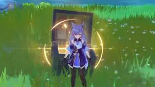 Secret Chest that you might have missed - Genshin Impact