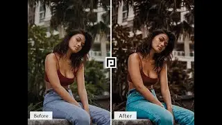 Deep Brown Lightroom Presets