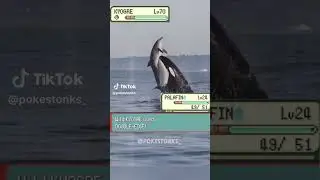 Pokémon en la vida real