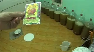 Медовое вино, Медовуха, Питный мед. часть 3