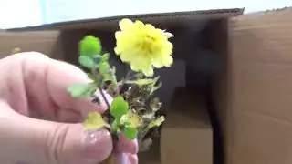 Распаковка посылки из Опт Хоза