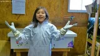 Ambee's honey bee school project.
