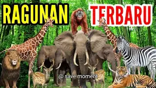 RAGUNAN TERBARU 2024
