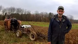 A Young Man & His Old Plow // Draft Horses Plowing a Field 