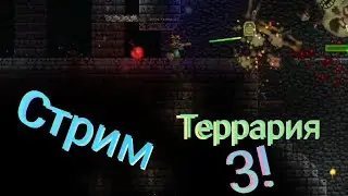 Как в первый раз│︎Terraria │︎Серия №3!