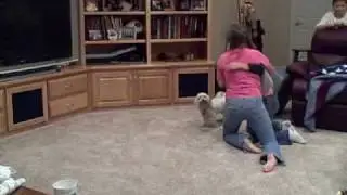 wrestle mania