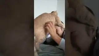 A beast has possessed Rooney)