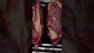 Настройки Ижица Z115 Pulled Pork рваная свинина. Smoke BBQ 
