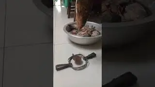 Риба на капкан