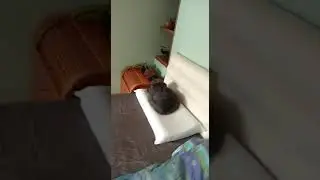 Дуся