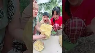 Đi hái dừa mà gặp Mít chín cây 