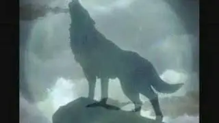 Paul Winter - Wolf Eyes
