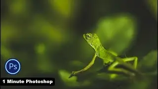 1 Minute Photoshop - Macro Photography For Camera RAW Filter