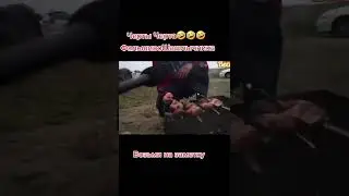 Черты | приколы тикток | #shorts #tiktok #trends #ржака #смешноевидео #тикток #приколы #украина