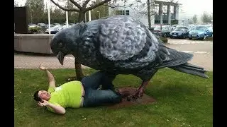 Funny photos with statues, funny pictures, funny, compilation, fails, moments, moment pics, best