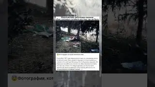 😨Фотография, которая изменила мир.