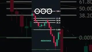 InDaily Fibonacci