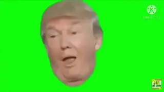 Donald Trump Confused Green Screen effect